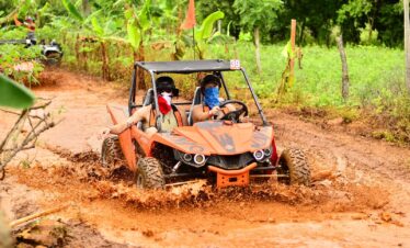 94db03bb 3298 4753 b91e 9f50ae5e089b