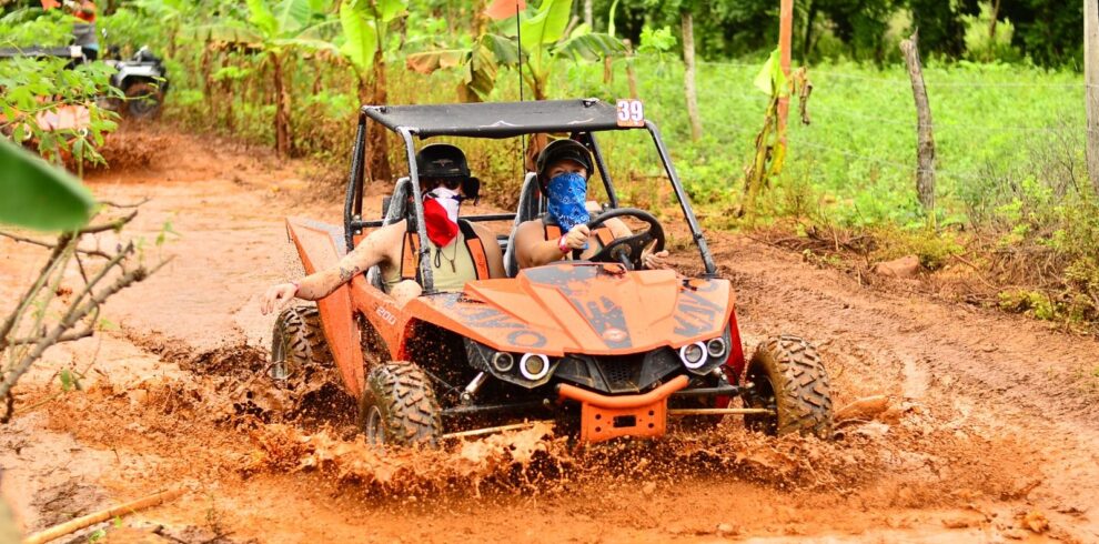 94db03bb 3298 4753 b91e 9f50ae5e089b